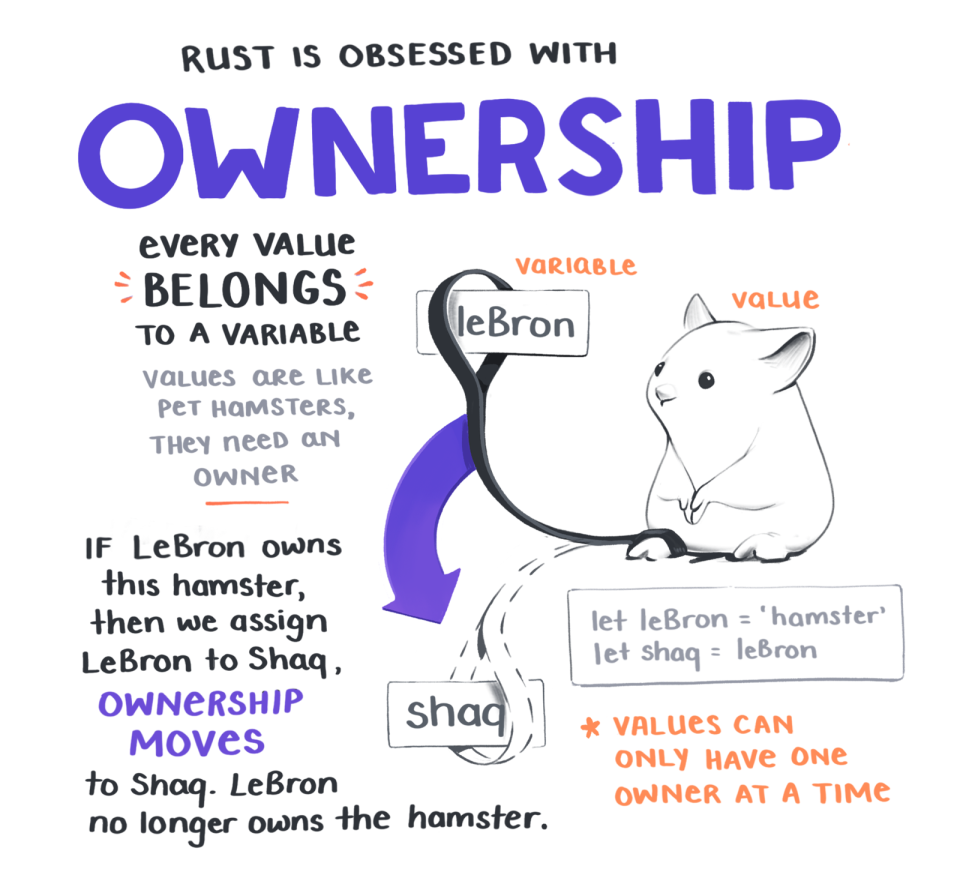 ownership explain